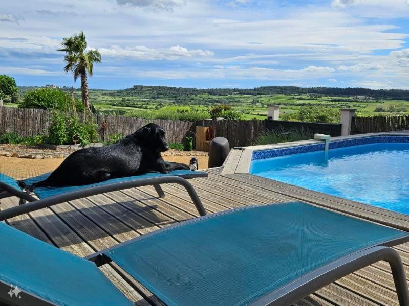 Domaine Du Chene *