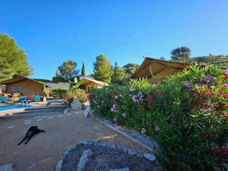 Domaine Du Chene Luxury tent